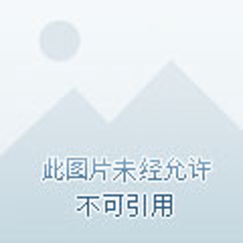 川商联盟:构建企业合作新生态